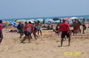 thumb_100_0521.jpg